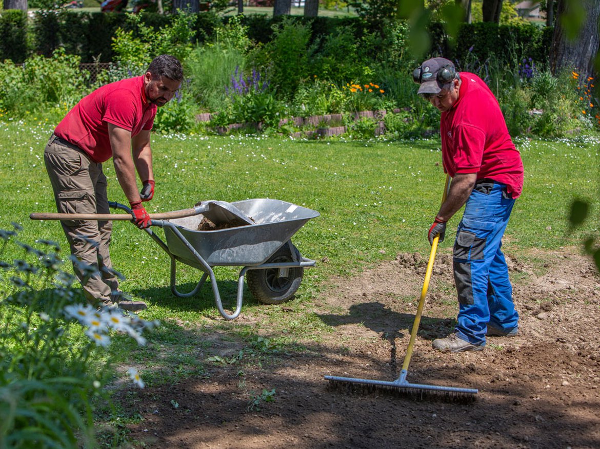 Services - Jardin & extérieurs - Entretien de jardin