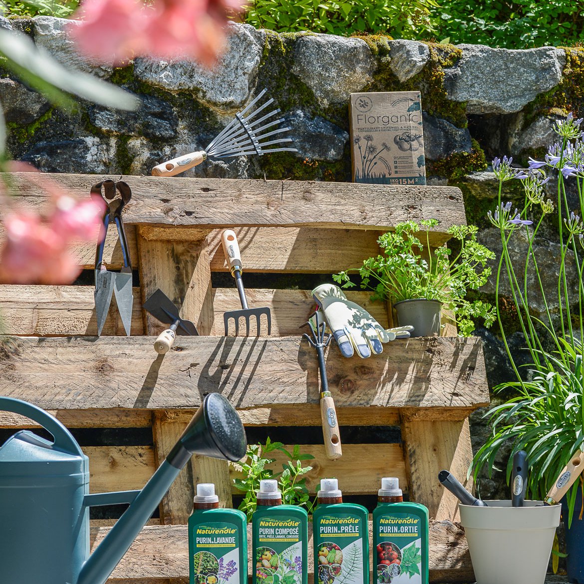 Soin du jardin et des extérieurs