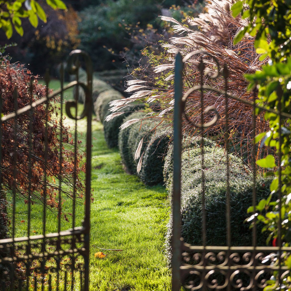 Blog - Rafraichir le décor de votre jardin après l’été - Schilliger