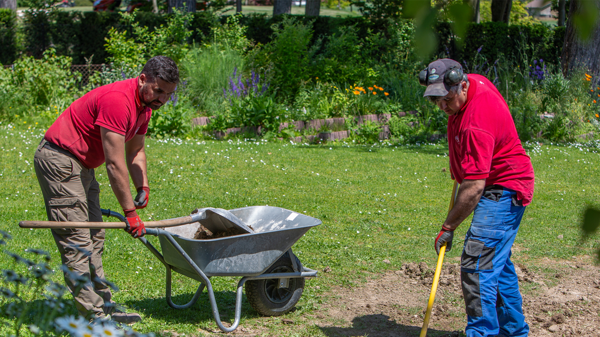 Services - Conception jardins - Schilliger