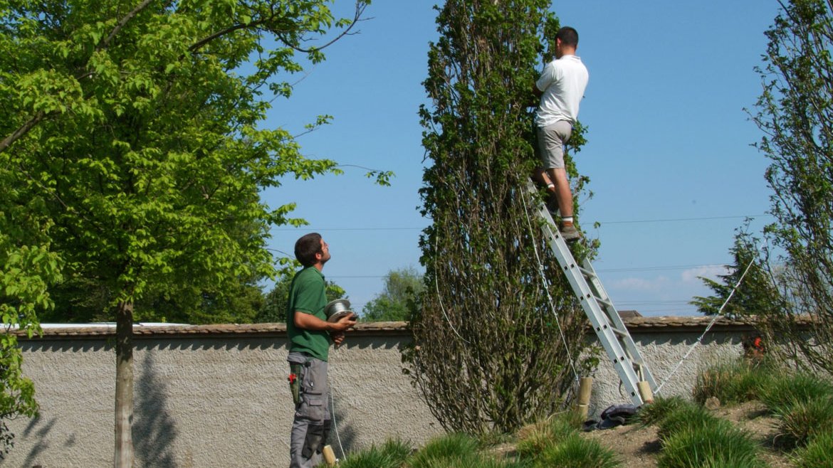 Services - jardin & extérieurs - Schilliger