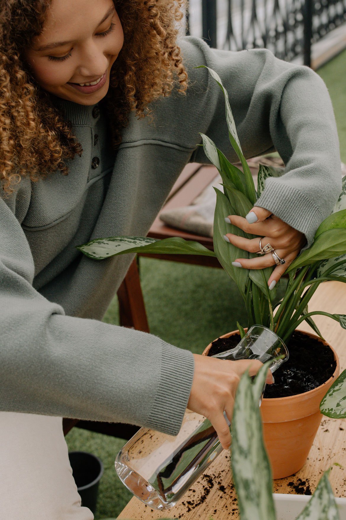 Nos univers - Soin des plantes - Schilliger