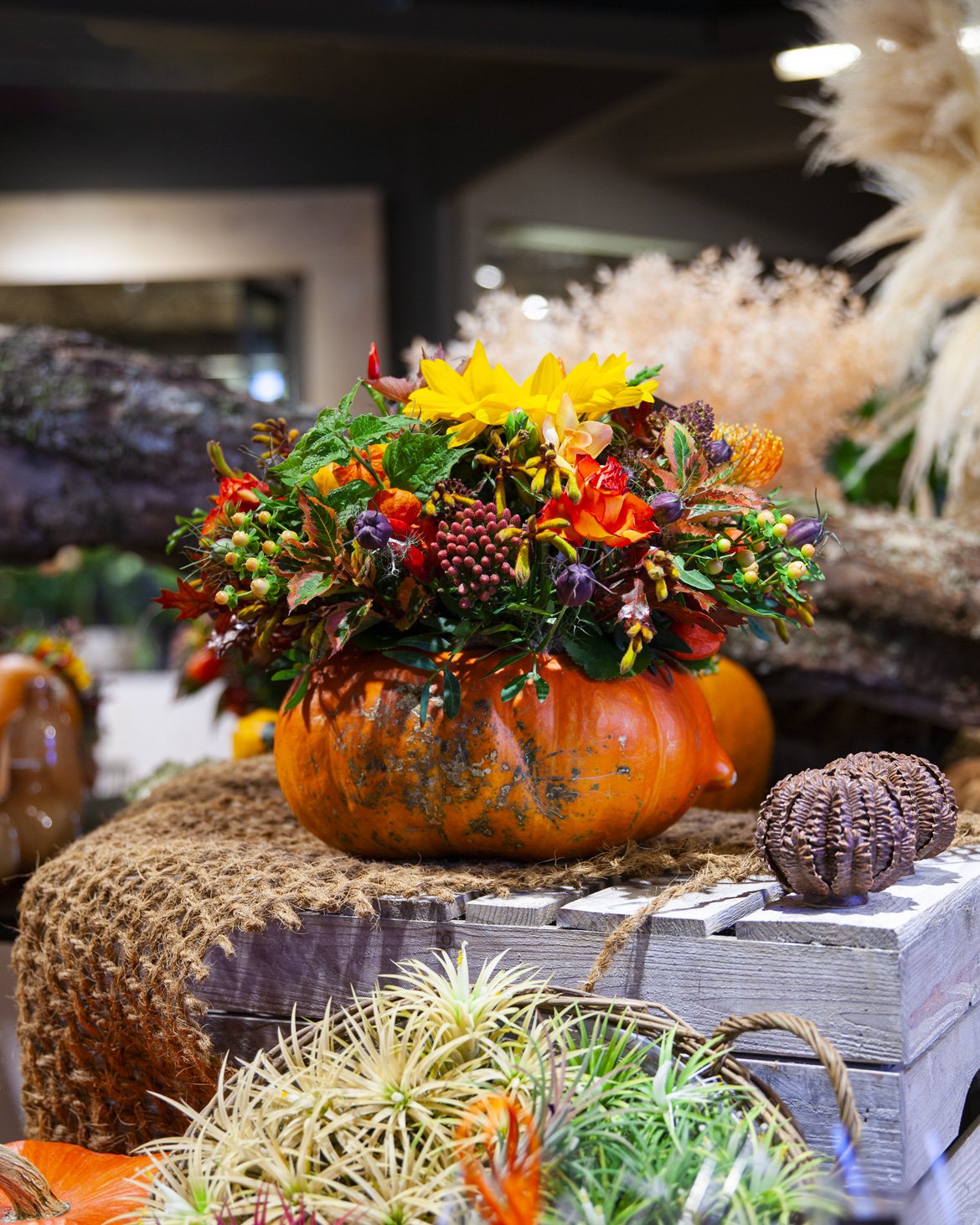 Arrangement de fleurs d'automne dans une courge - Schilliger Fleurs à Gland