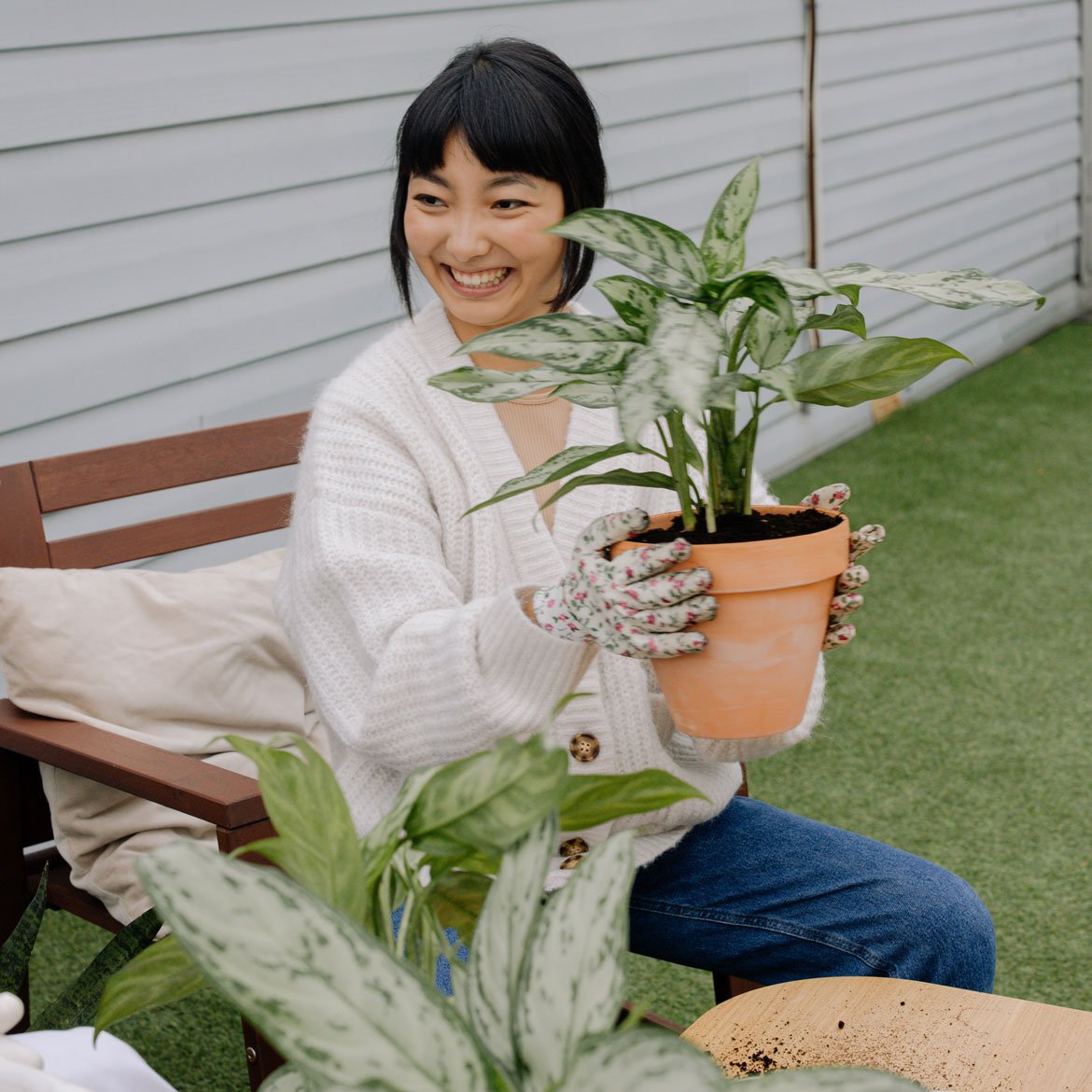 Nos univers - Soin des plantes - Schilliger