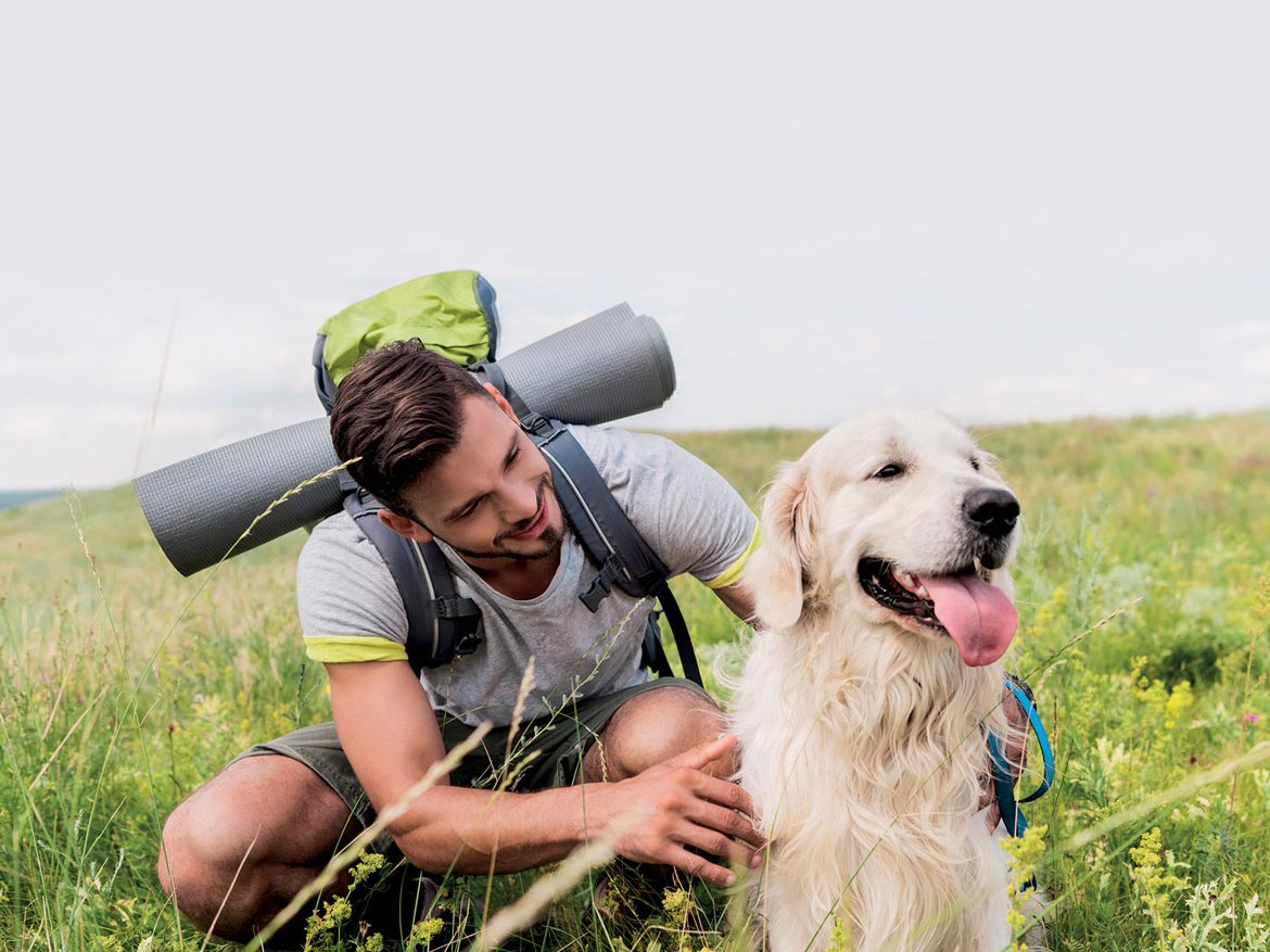 Boutique en ligne - À la Une - Voyager avec son chien