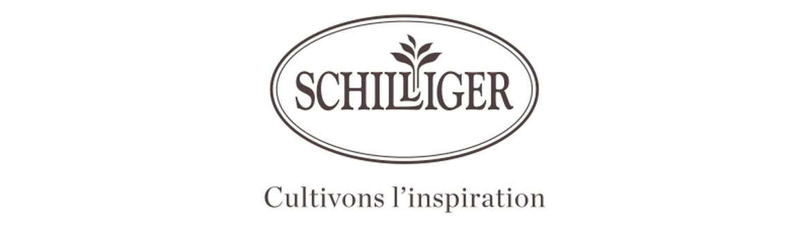 Logo schilliger