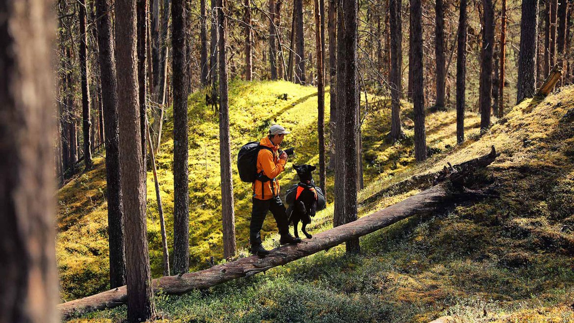 Faire du sport avec son chien - Randonnée Non Stop Dogwear - Schilliger