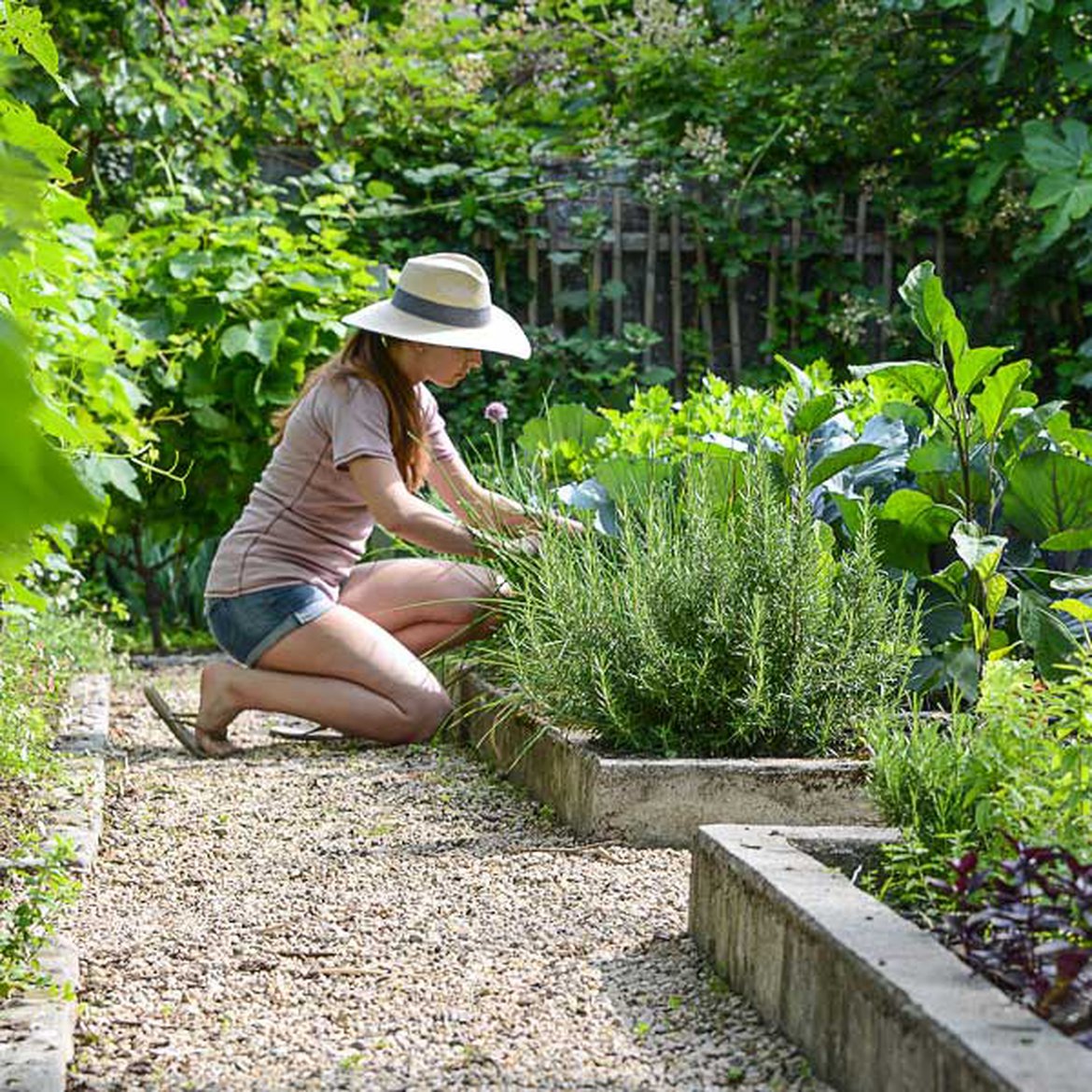 Les conseils de nos spécialistes pour créer votre potager