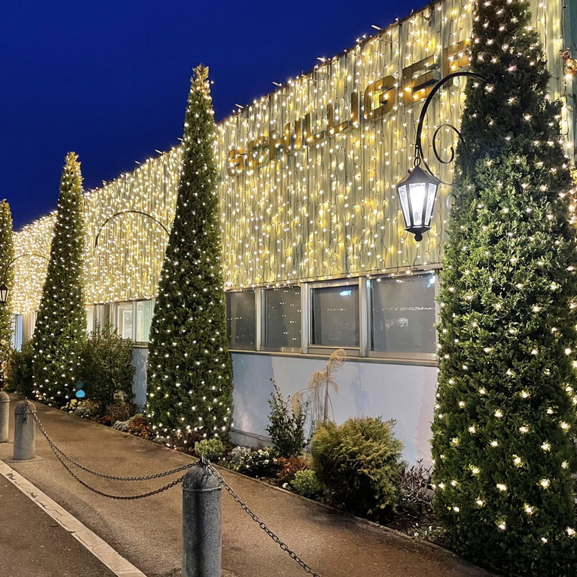 Illuminez vos façades avec notre service de pose de guirlandes lumineuses