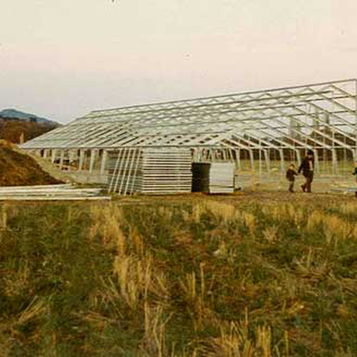 Construction de l'établissement horticole Schilliger en 1968