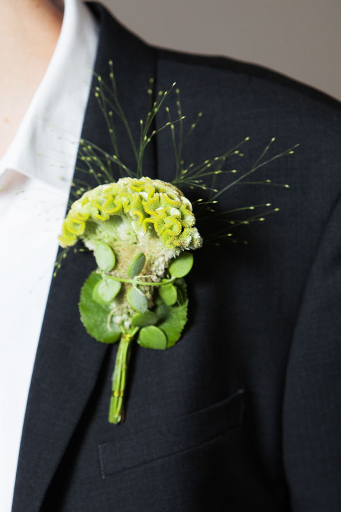 Boutonnière de celosie