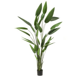 Schilliger Sélection  Heliconia artificiel  220cm