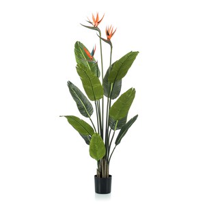 Schilliger Sélection  Strelitzia avec fleurs artificiel  120cm