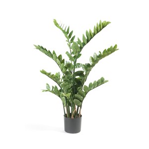 Schilliger Sélection  Zamioculcas artificiel  110cm