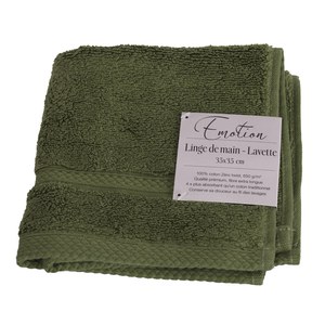 Schilliger Design Emotion Lavette Emotion Vert lichen 35x35cm