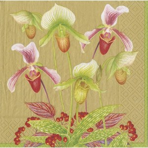 Caspari  Serviette Lunch Gold Slipper orchid Jaune or 