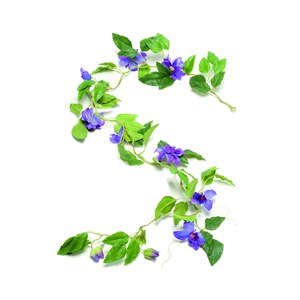 Schilliger Sélection  Guirlande Clematis artificielle Violet violine 180cm