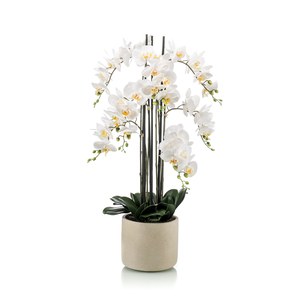 Schilliger Sélection  Phalaenopsis artificiel Blanc 100cm