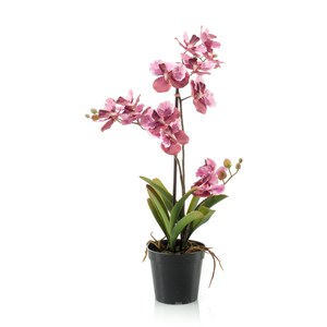 Schilliger Sélection  Vanda en pot artificiel Rouge rose fuchsia 60cm