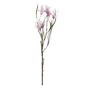 Schilliger Sélection  Nerine en branche artificielle Rouge rose cuisse de nymphe 74cm