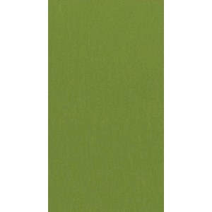 Caspari  Serviettes Buffet Paper Linen Vert gazon ou herbe 32.5x40cm