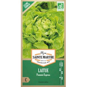 Ferme de Sainte Marthe  Laitue Pommée Express  Environ 500 Graines