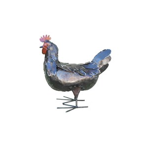 Schilliger Sélection  Poule  35cm