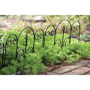 Panacea Products  Bordure en Lys  45x40cm