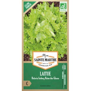 Ferme de Sainte Marthe  Laitue Batavia Iceberg Reine Des Glaces  Environ 500 Graines