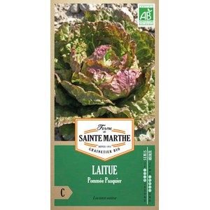 Ferme de Sainte Marthe  Laitue Pommée Pasquier  Environ 500 Graines