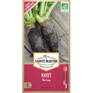 Ferme de Sainte Marthe  Navet Noir Long  Environ 300 Graines