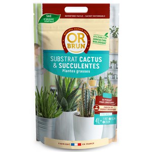 Or brun  Terreau Cactus Et Succulentes 4L  4L