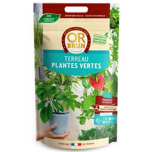 Or brun  Terreau Plantes Vertes 4L  4L