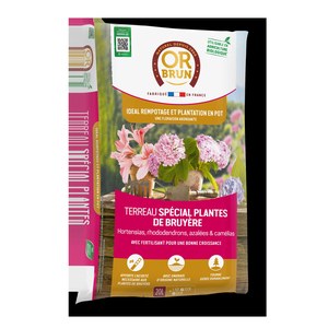 Or brun  Terreau SPECIAL Plantes de Bruyères 20L  20L