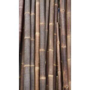 Schilliger Sélection Bamboo poles & sticks Grand Bambou Asiastyle  200x11x11cm