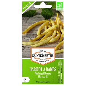 Ferme de Sainte Marthe  Haricot à Rames Neckargold Beurre Filet Sans Fil  env 190 graines