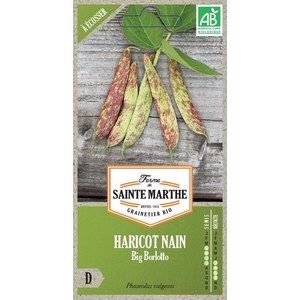 Ferme de Sainte Marthe  Haricot Nain Big Borlotto à Écosser  env 135 graines