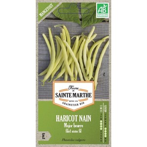 Ferme de Sainte Marthe  Haricot Nain Major Beurre Filet Sans Fil Mangetout  env 280 graines