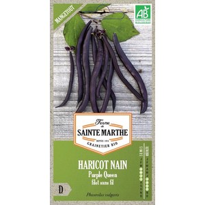 Ferme de Sainte Marthe  Haricot Nain Purple Queen Filet Sans Fil Mangetout  env 350 graines