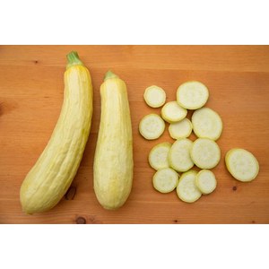   Courgettes Beurrée jaune Sélection Z  