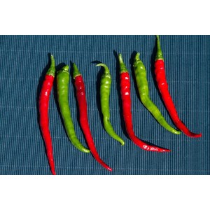   Poivron, Piment Cayenne  