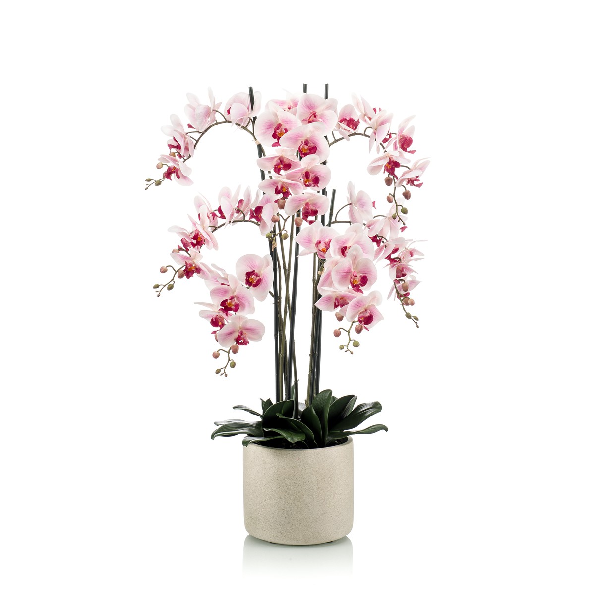 Schilliger Sélection  Phalaenopsis artificiel Rouge rose 100cm