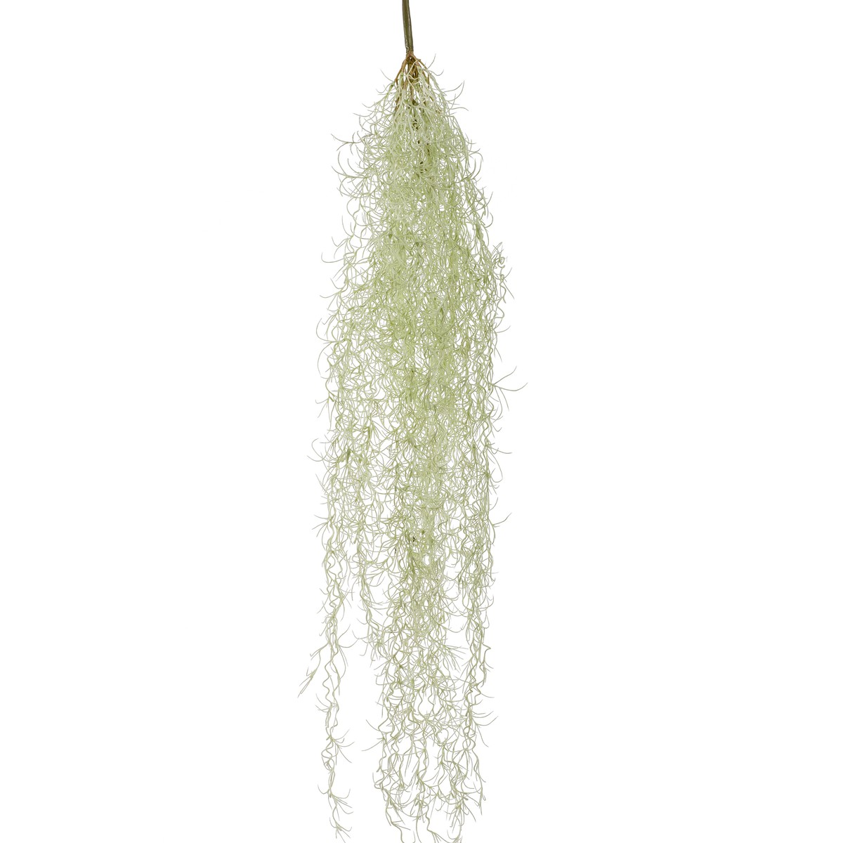 Schilliger Sélection  Tillandsia à susendre artificiel  95cm