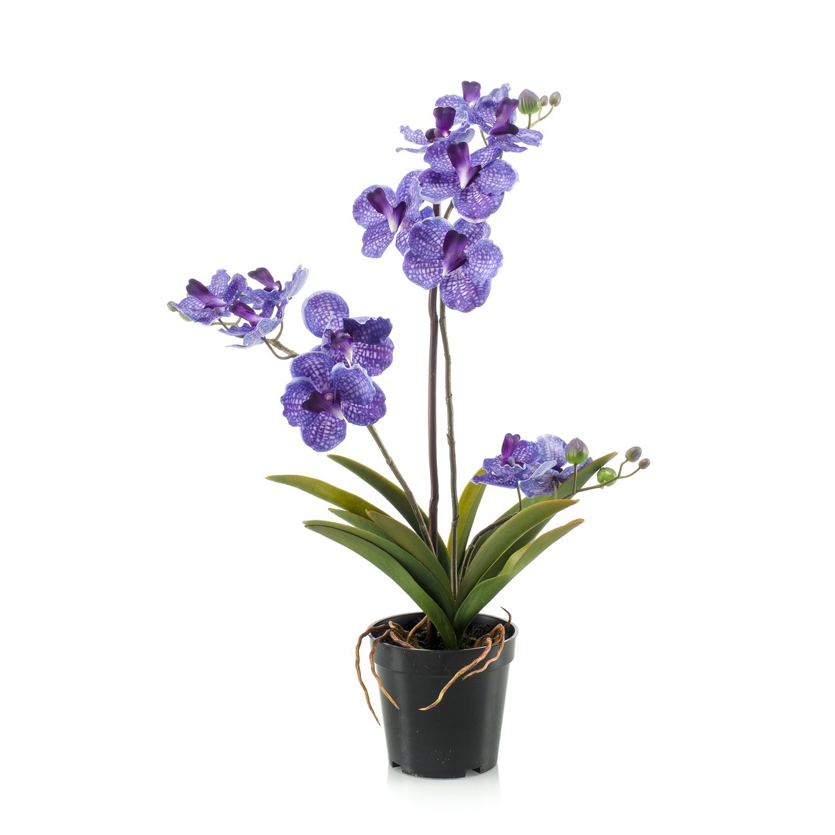 Schilliger Sélection  Vanda en pot artificiel Violet 60cm