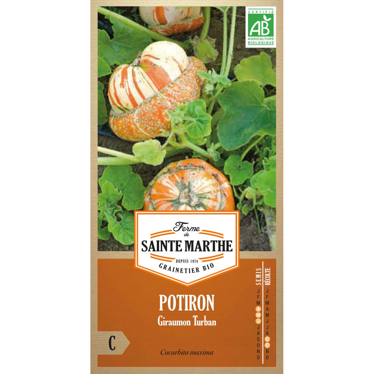 Ferme de Sainte Marthe  Potiron Giraumon Turban  Environ 15 Graines