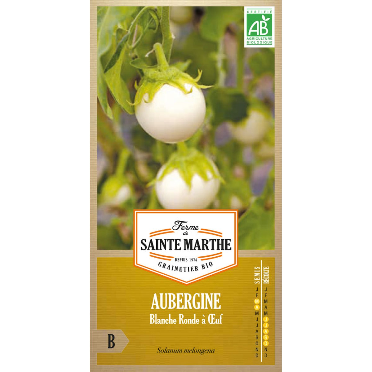 Ferme de Sainte Marthe  Aubergine Blanche Ronde À Œuf  Environ 50 Graines