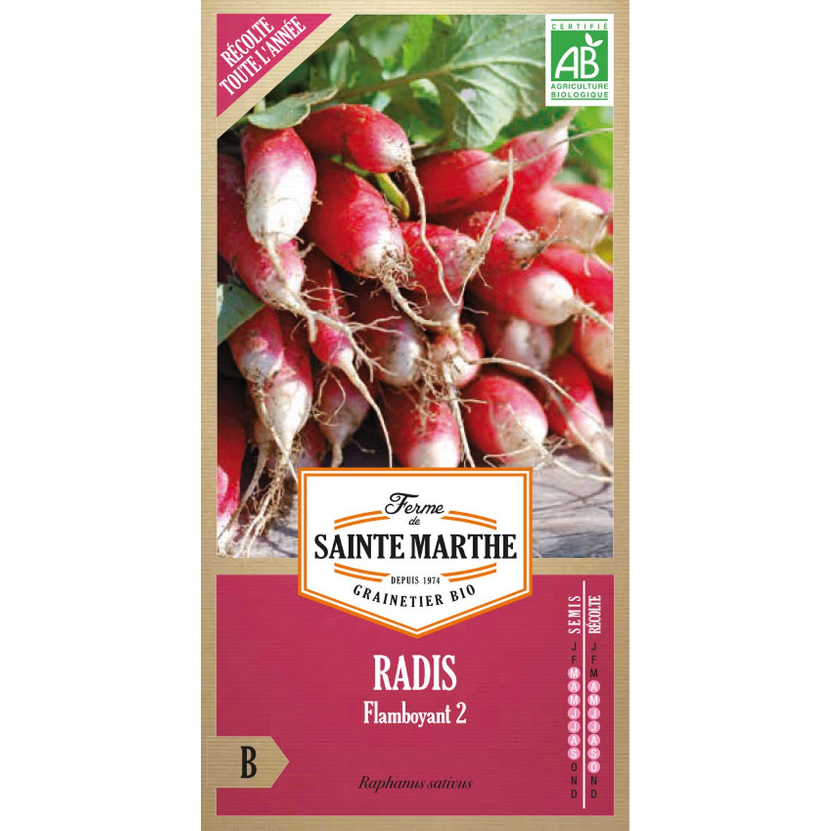 Ferme de Sainte Marthe  Radis Flamboyant 2  Environ 1000 Graines