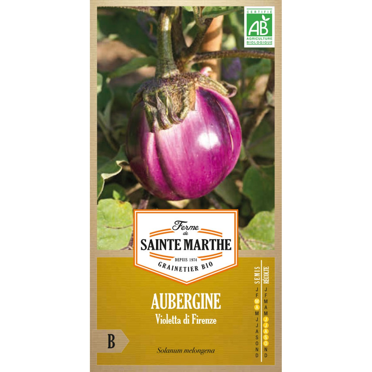 Ferme de Sainte Marthe  Aubergine Violetta Di Firenze  Environ 50 Graines