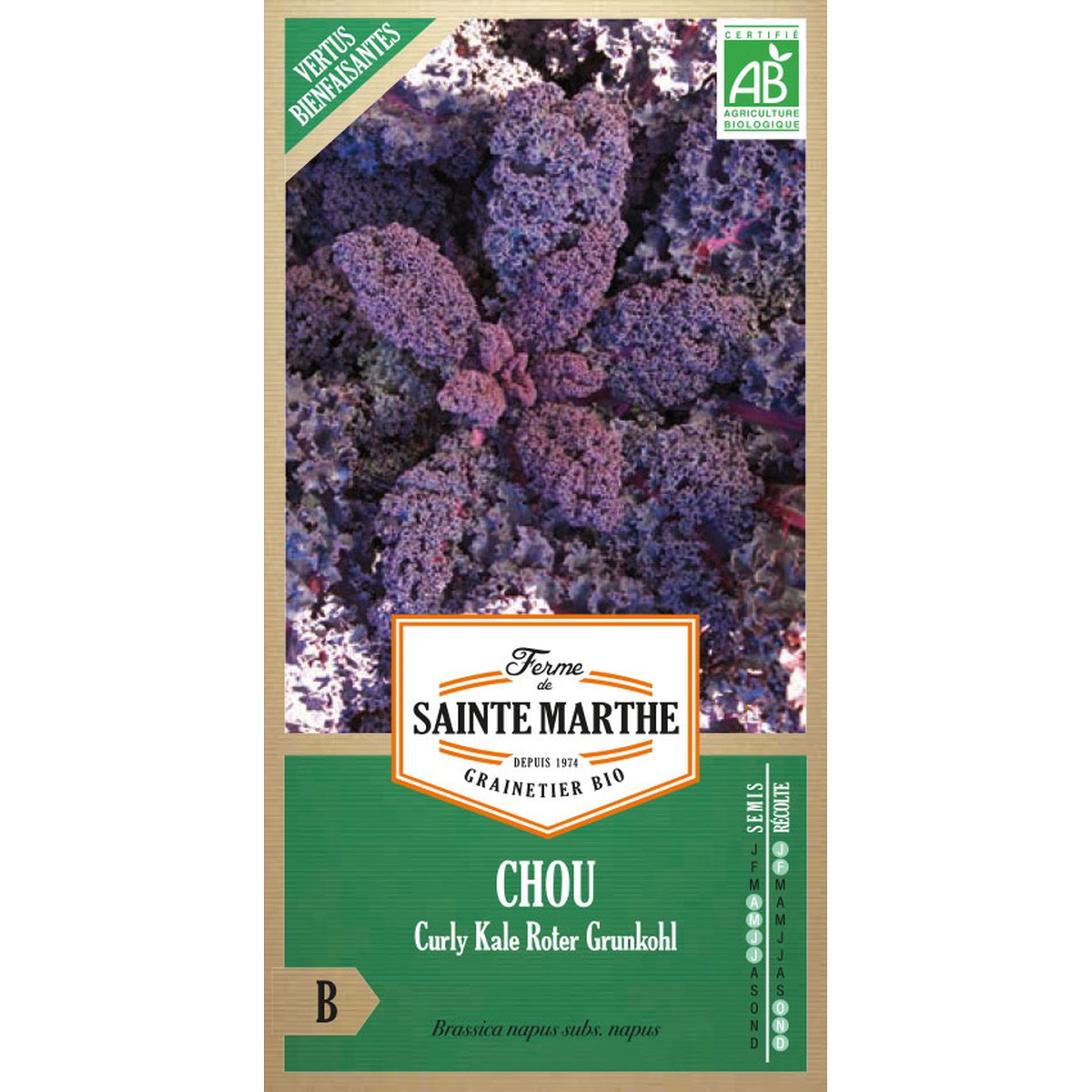 Ferme de Sainte Marthe  Chou Curly Kale Roter Grunkohl  Environ 200 Graines