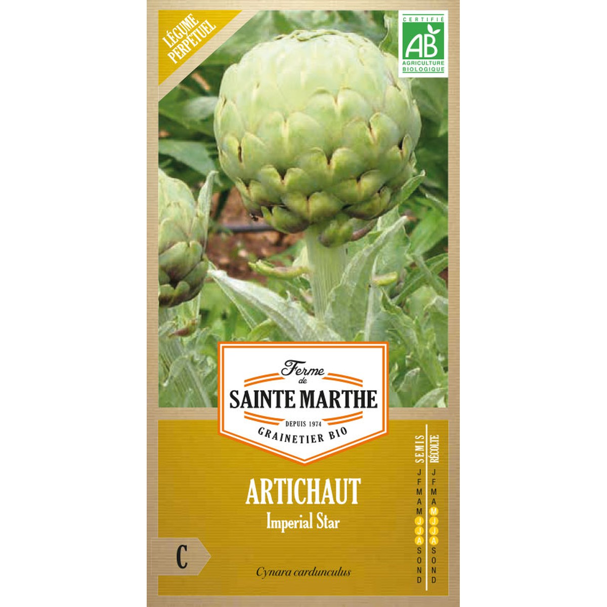 Ferme de Sainte Marthe  Artichaut Imperial Star  Environ 20 Graines